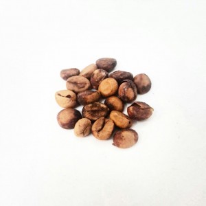 Semi di Caffè Robusta (Coffea canephora)